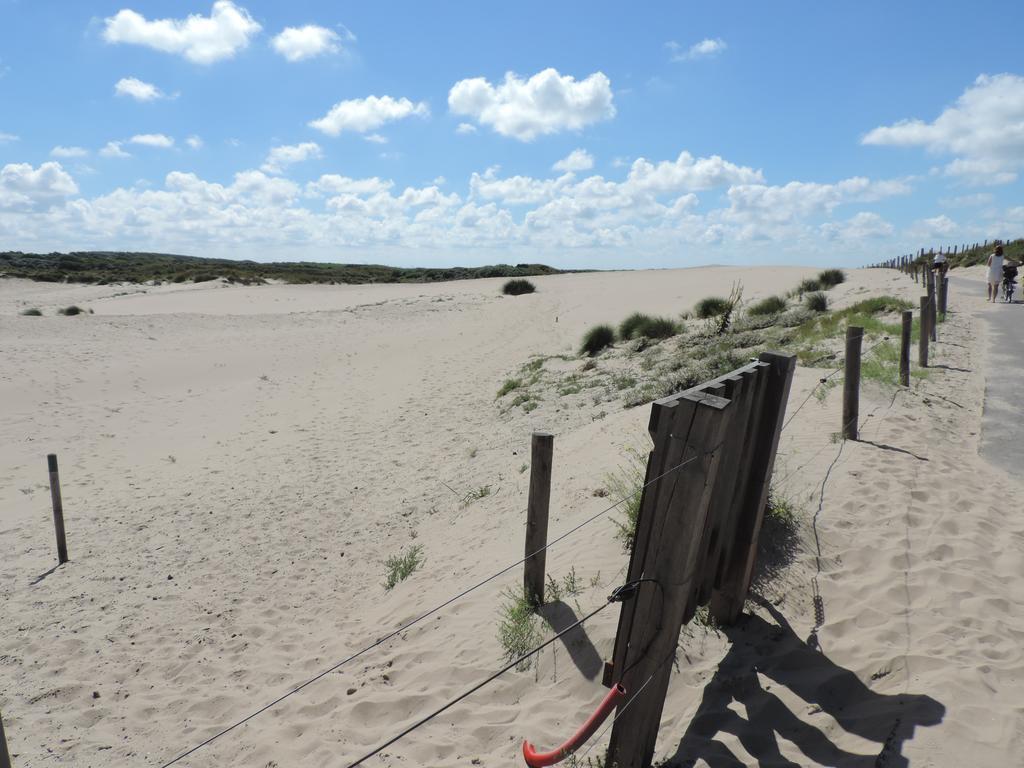 Sea & Dunes *